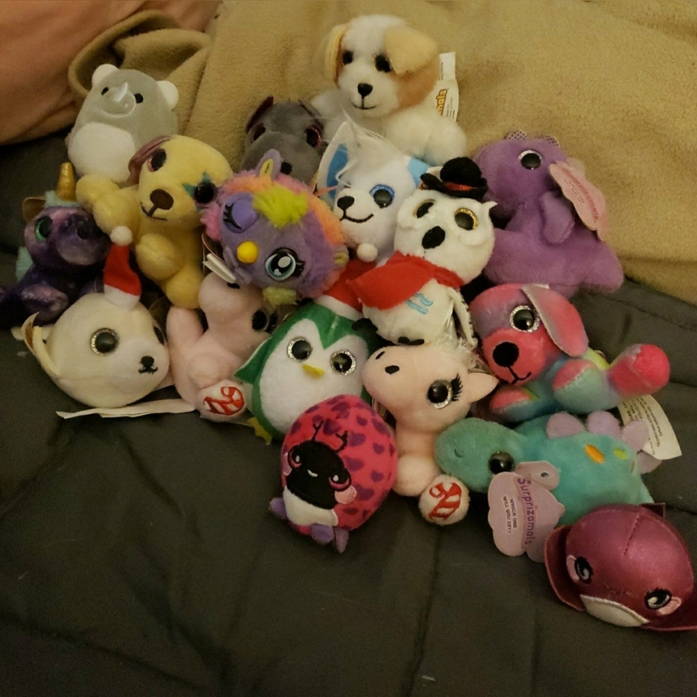 surprizamals